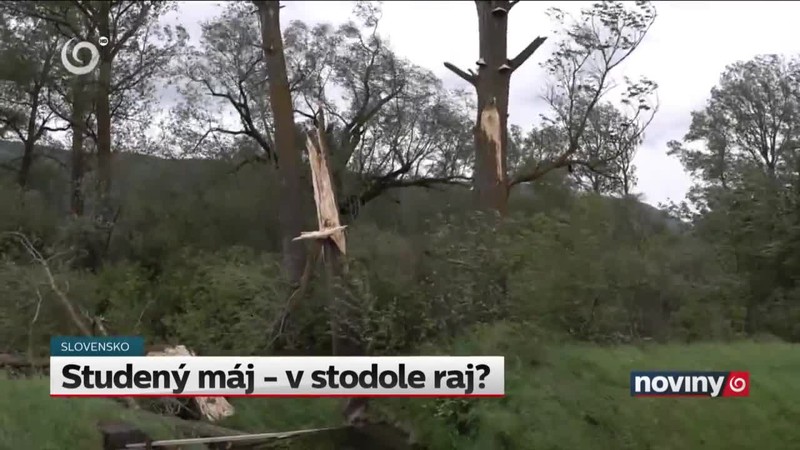 Studený máj - v stodole raj?