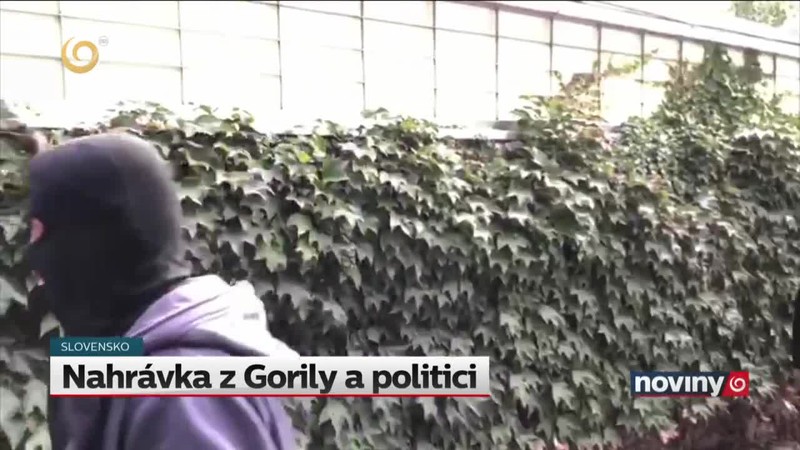 Nahrávka z Gorily a politici