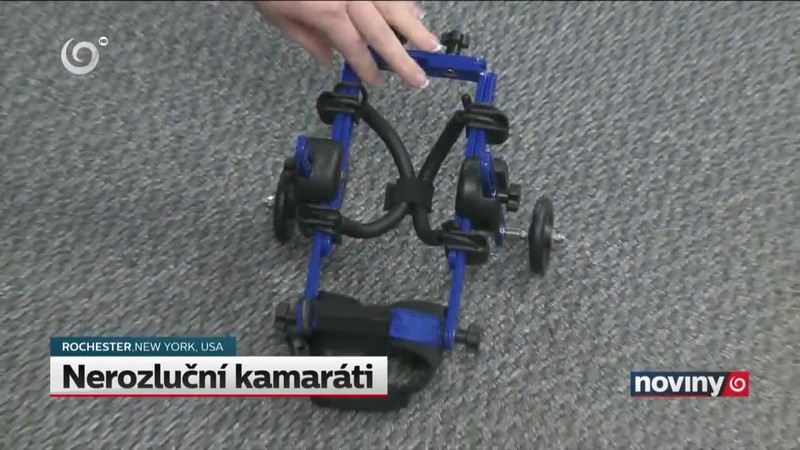 Nerozluční kamaráti