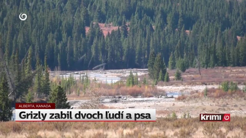 Grizly zabil dvoch ľudí a psa
