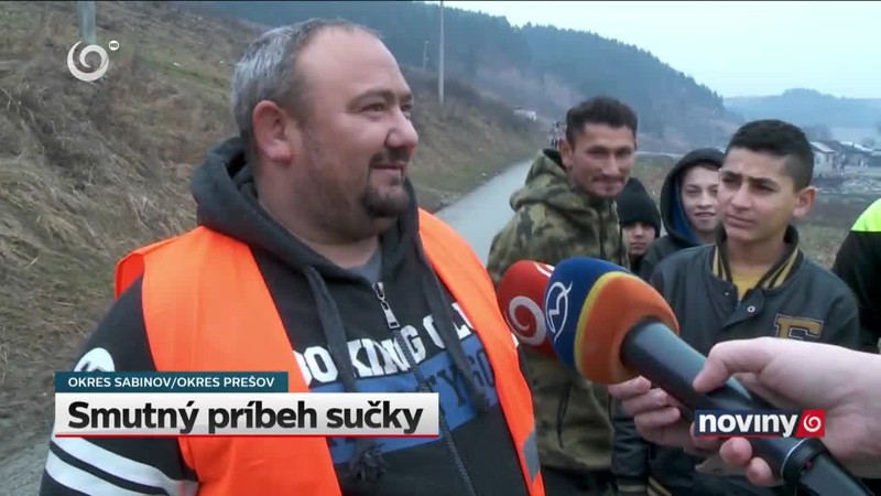 Smutný príbeh sučky