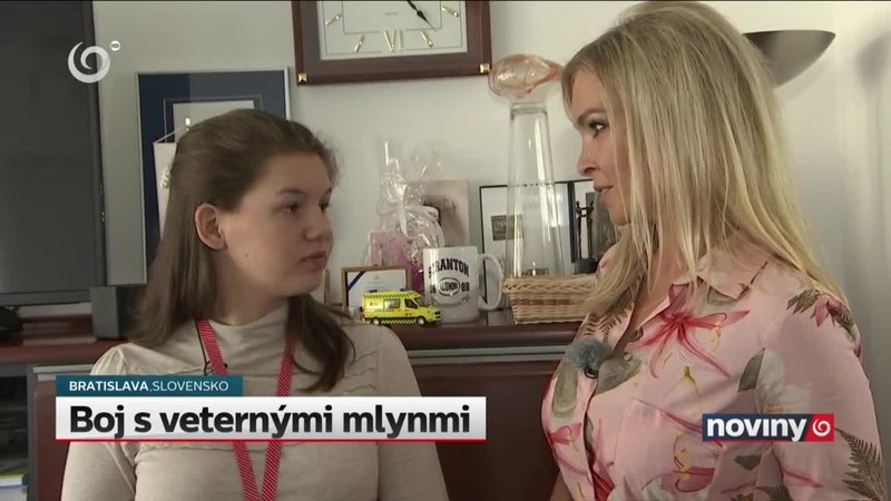 Boj s veternými mlynmi