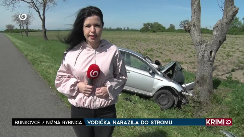 VODIČKA NARAZILA DO STROMU