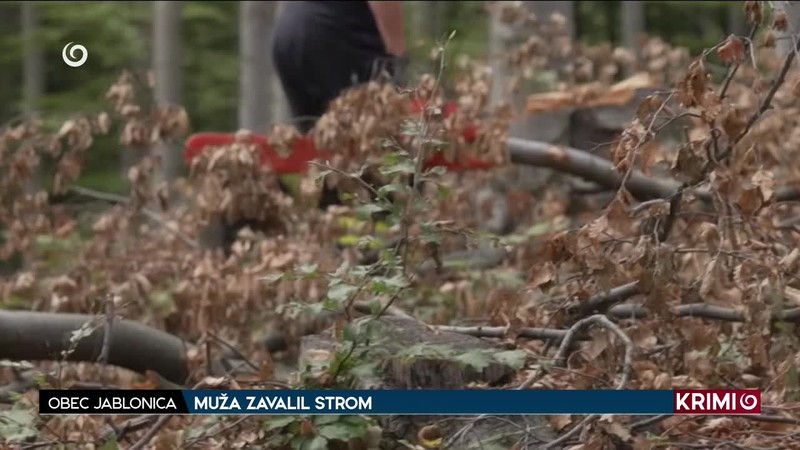 MUŽA ZAVALIL STROM