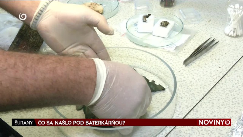 ČO SA NAŠLO POD BATERKÁRŇOU?