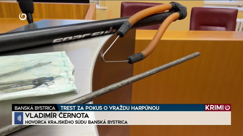 TREST ZA POKUS O VRAŽDU HARPÚNOU