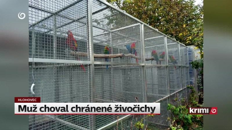 Muž choval chránené živočichy