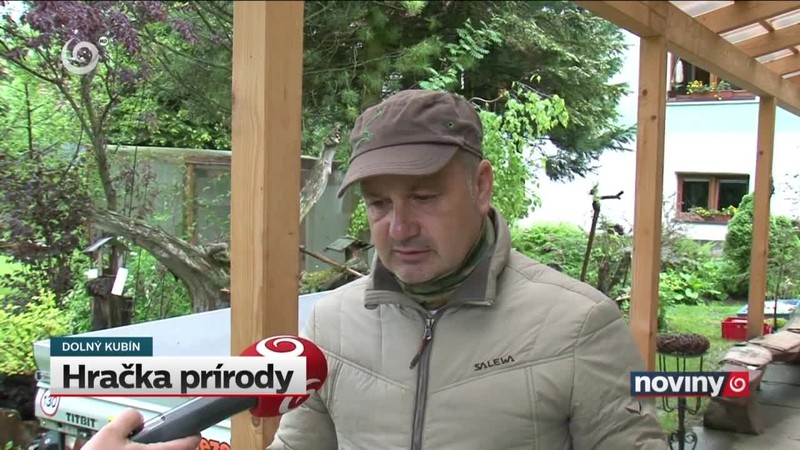 Hračka prírody