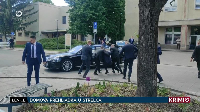 DOMOVÁ PREHLIADKA U STRELCA