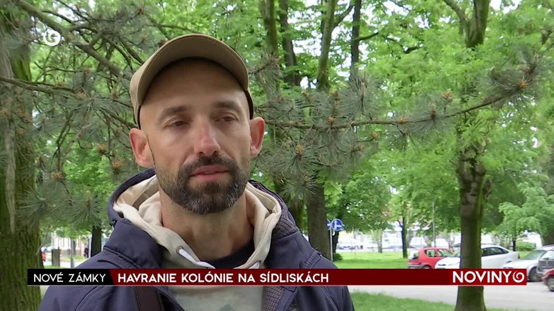 HAVRANIE KOLÓNIE NA SÍDLISKÁCH