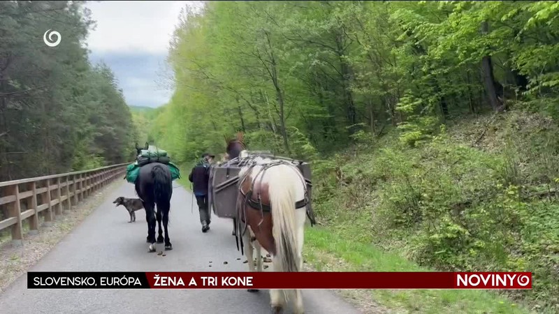 ŽENA A TRI KONE