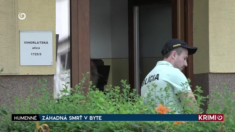 ZÁHADNÁ SMRŤ V BYTE