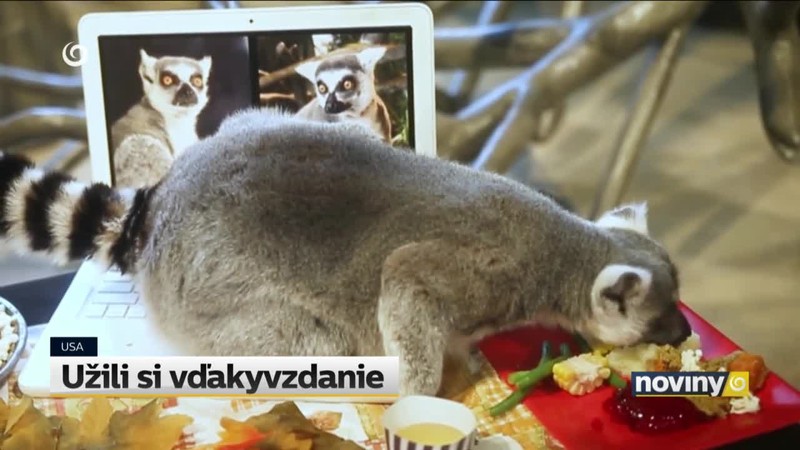 Užili si vďakyvzdanie