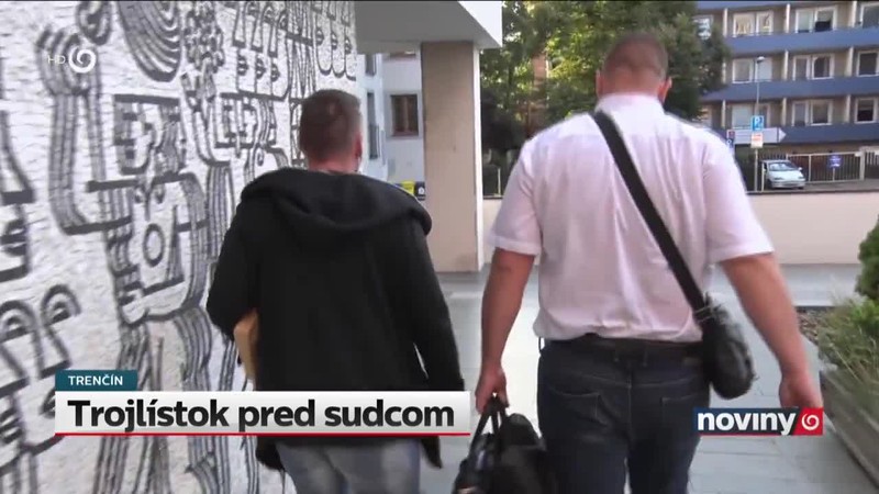 Trojlístok pred sudcom