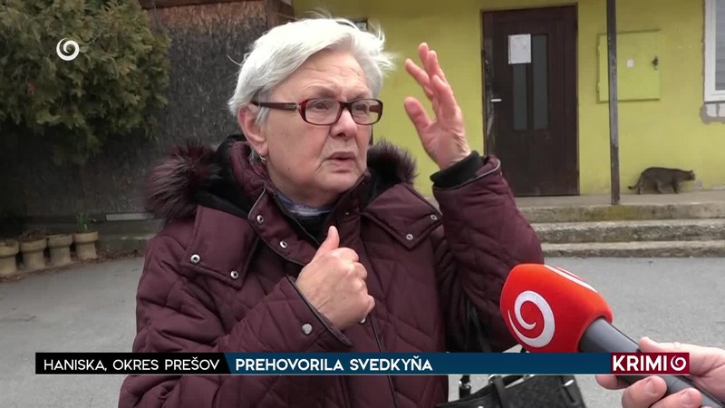 PREHOVORILA SVEDKYŇA