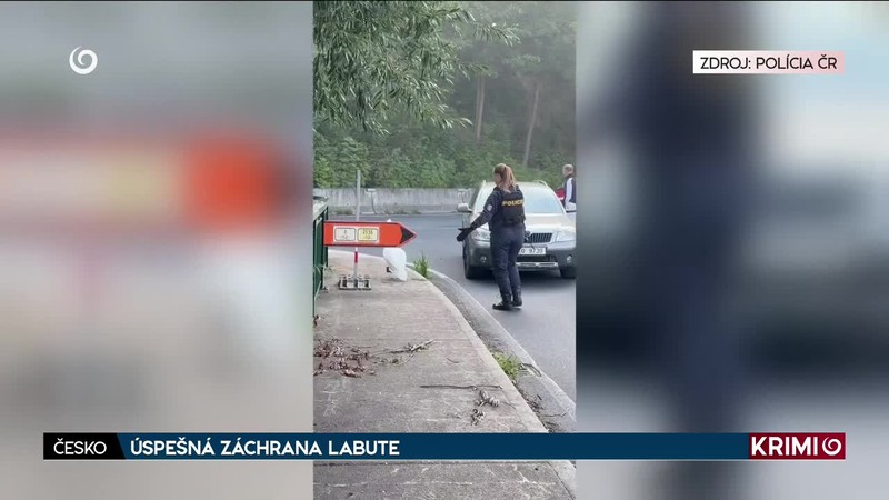 ÚSPEŠNÁ ZÁCHRANA LABUTE