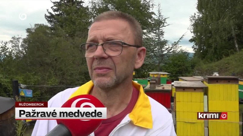 Pažravé medvede