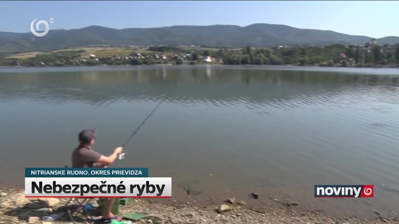 Nebezpečné ryby