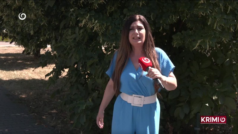 TELO ROZREZALI MOTOROVOU PÍLOU