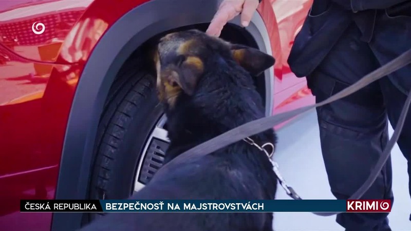 BEZPEČNOSŤ NA MAJSTROVSTVÁCH