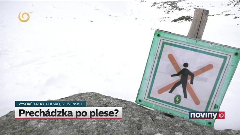 Prechádzka po plese?