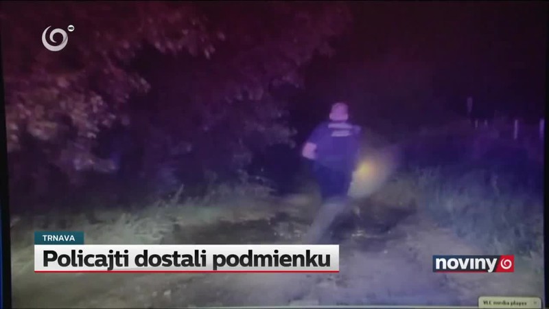 Policajti dostali podmienku