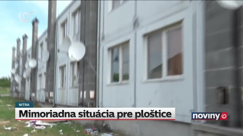 Mimoriadna situácia pre ploštice