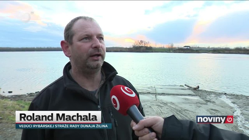 Hlavátka je rozprávková ryba