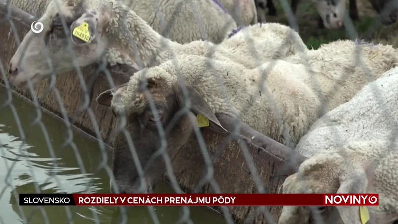 ROZDIELY V CENÁCH PRENÁJMU PÔDY