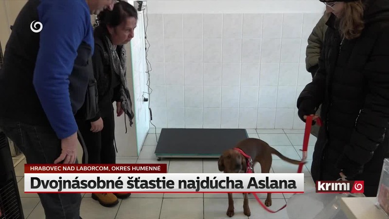 Dvojnásobné šťastie najdúcha Aslana