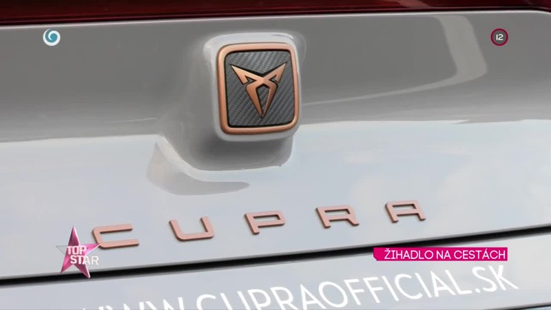 Žihadlo na cestách