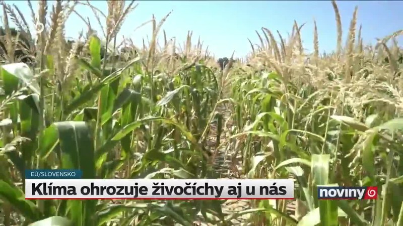 Klíma ohrozuje živočíchy aj u nás