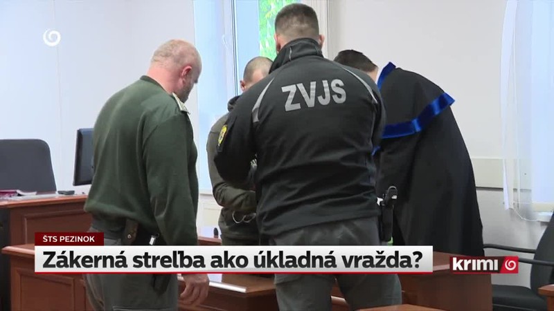 Zákerná streľba ako úkladná vražda?