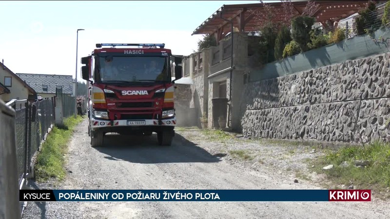 POPÁLENINY OD POŽIARU ŽIVÉHO PLOTA
