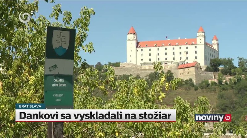 Dankovi sa vyskladali na stožiar