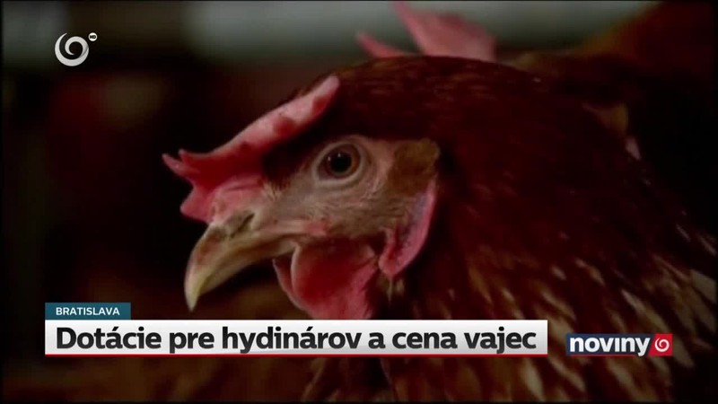 Dotácie pre hydinárov a cena vajec