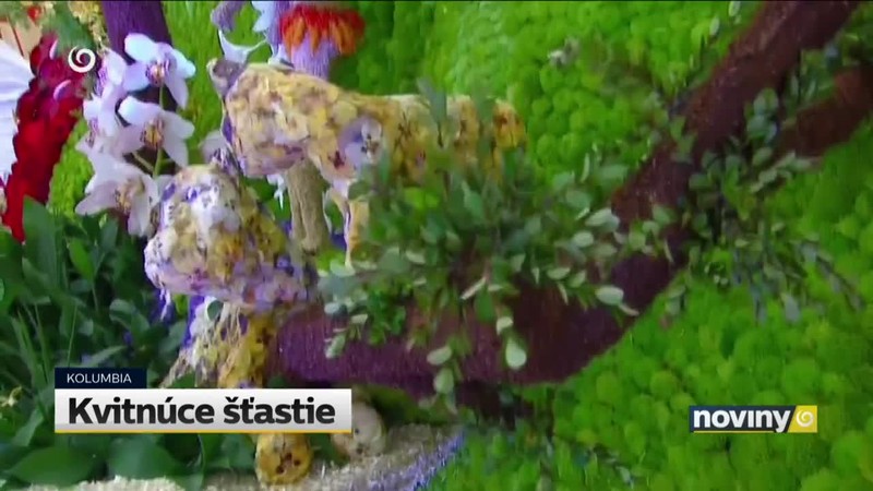 Kvitnúce šťastie