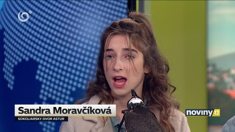 Hej, sokoly! ...Naživo