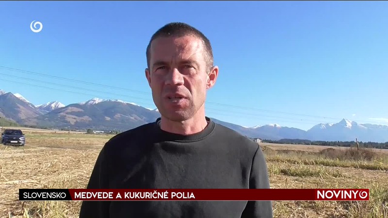 MEDVEDE A KUKURIČNÉ POLIA