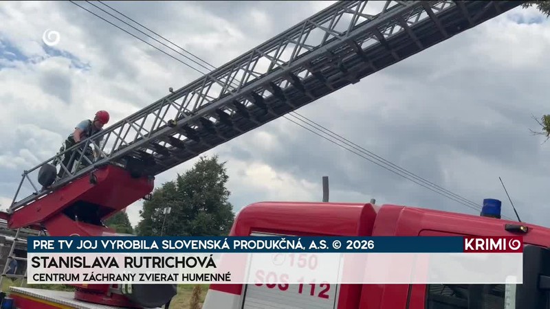 HASIČSKÉ VÝJAZDY K ZÁCHRANE ZVIERAT