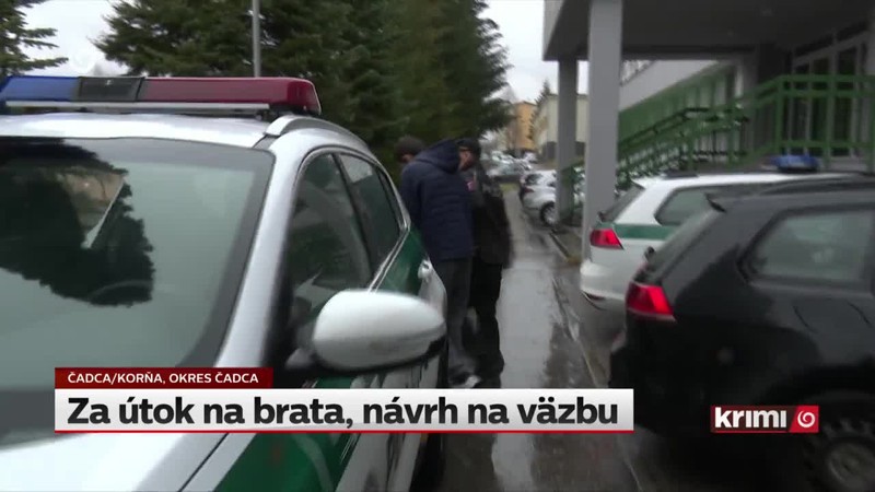 Za útok na brata, návrh na väzbu