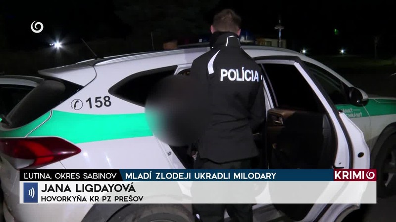 MLADÍ ZLODEJI UKRADLI MILODARY