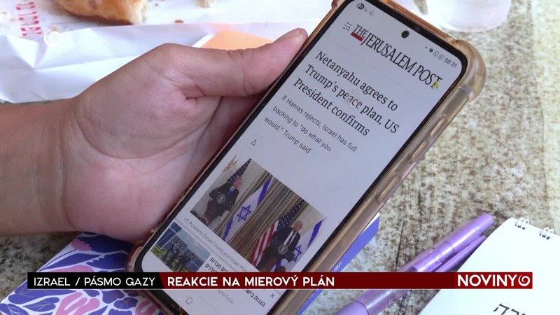 REAKCIE NA MIEROVÝ PLÁN