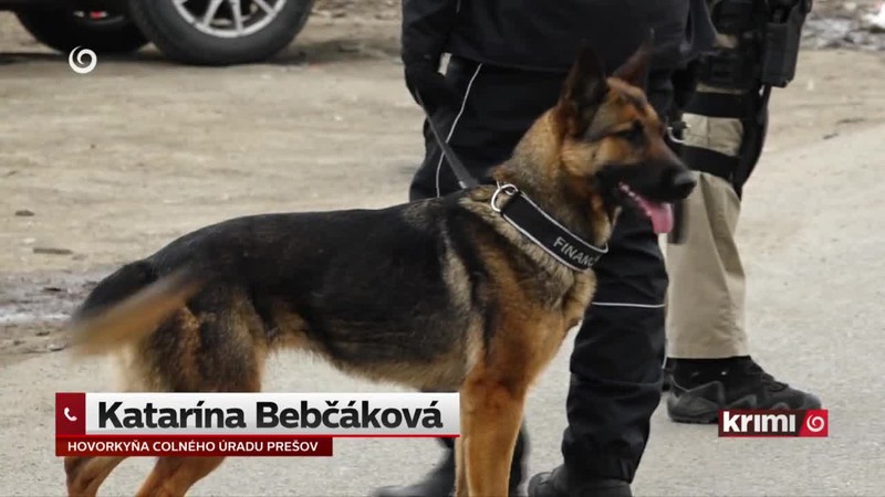 Nelegálne cigary "pokazili" svadbu