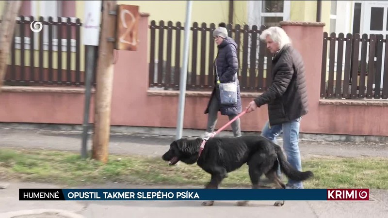 OPUSTIL TAKMER SLEPÉHO PSÍKA