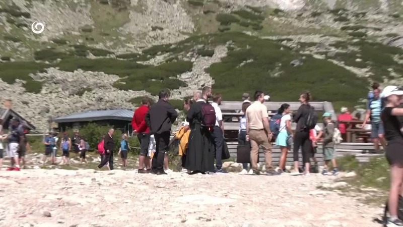 KAPLNKA NA SKALNATOM PLESE