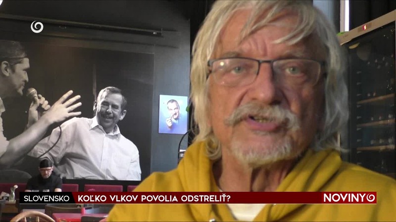 KOĽKO VLKOV POVOLIA ODSTRELIŤ?