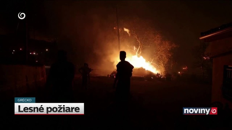 Lesné požiare