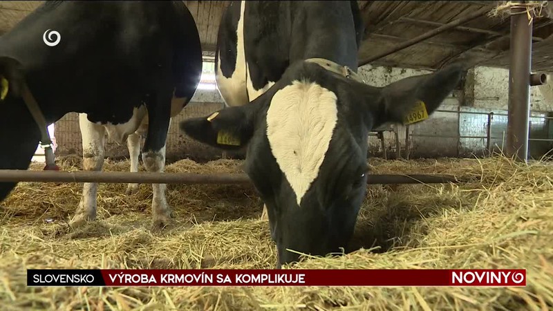 VÝROBA KRMOVÍN SA KOMPLIKUJE