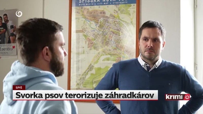 Svorka psov terorizuje záhradkárov